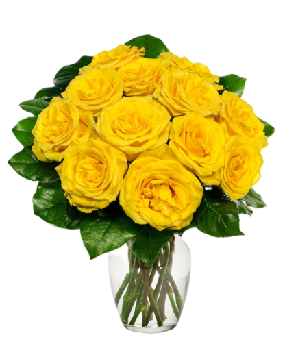 11 yellow roses