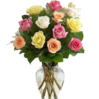 15 multi-colored roses | Flower Delivery Blagoveshchensk